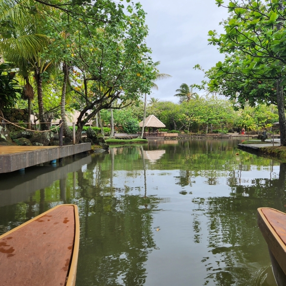 Meet your Posher, Shopping_stash - Picture 3 of 4